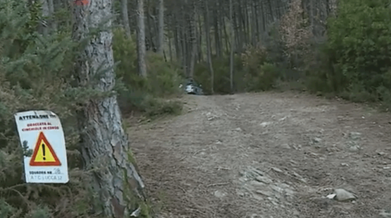 Incidente di caccia: muore un 80enne colpito da un colpo di fucile