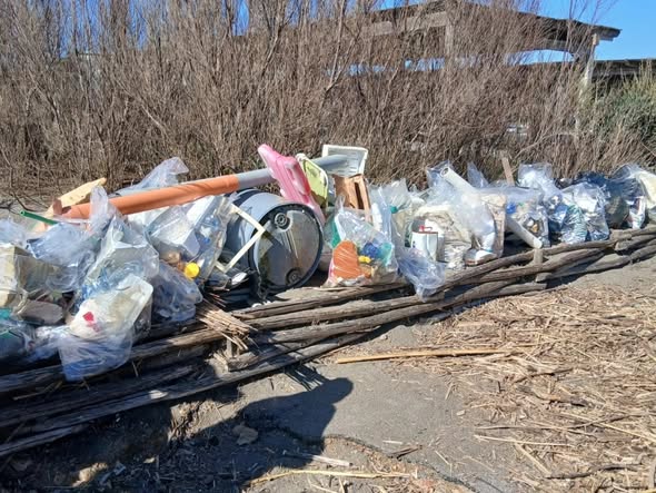 I cittadini di Capalbio in azione per la pulizia del litorale