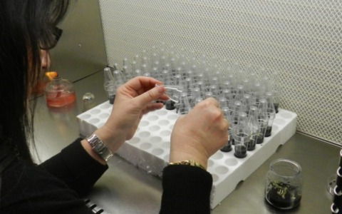 La Giornata internazionale delle donne nella scienza al Museo di Grosseto