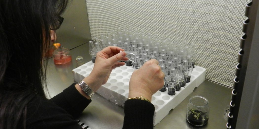 La Giornata internazionale delle donne nella scienza al Museo di Grosseto