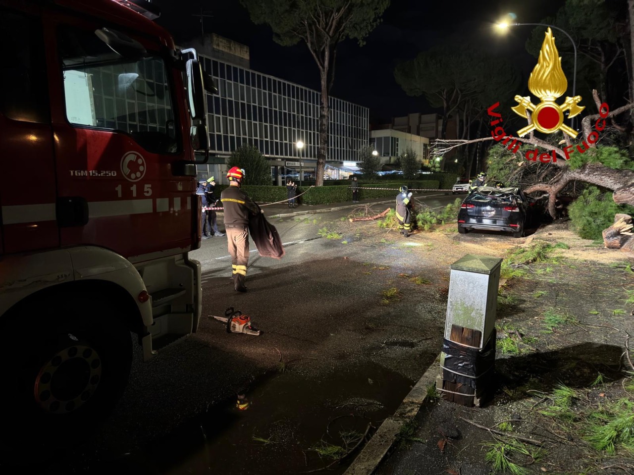 Un pino caduto colpisce due auto a Grosseto